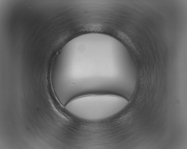 X0000073530538200607311018