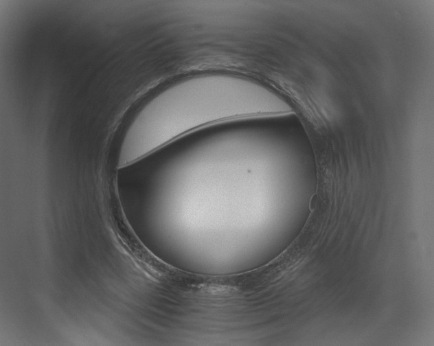 X0000073530539200607311018