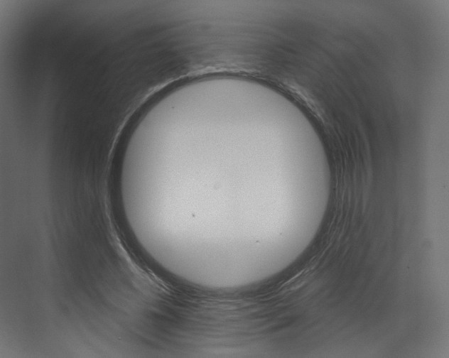 X0000073530540200607311018