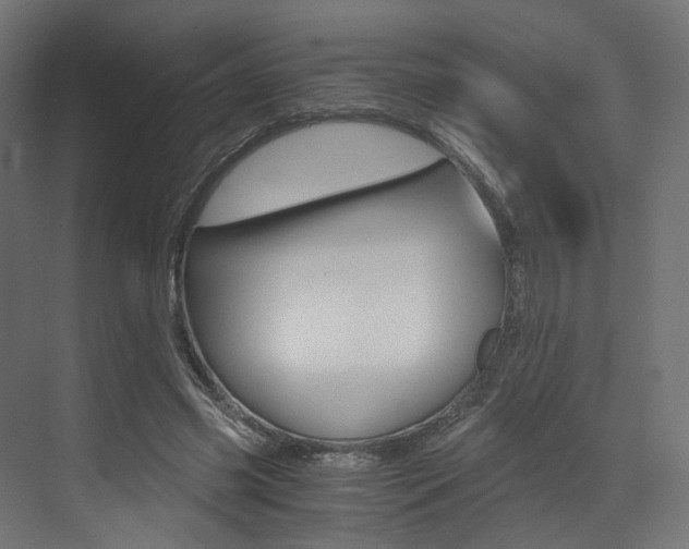 X0000073530541200607311018