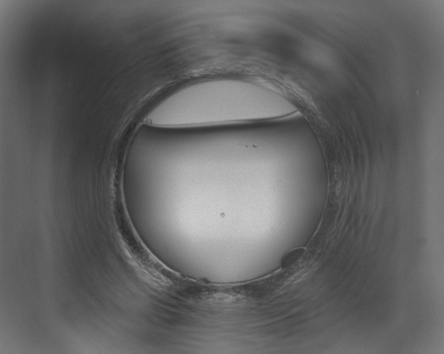 X0000073530542200607311018
