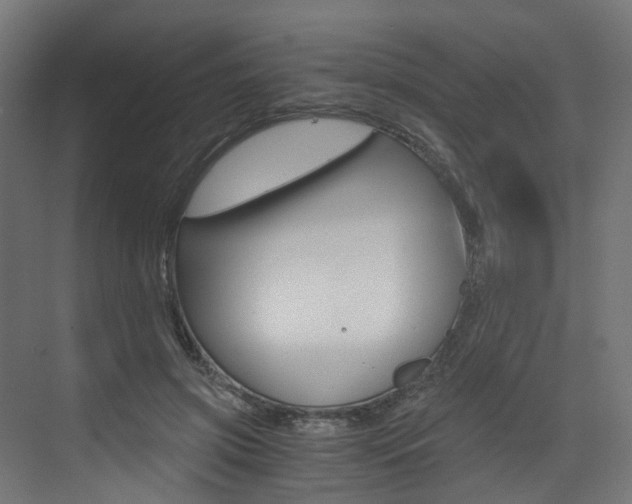 X0000073530549200607311018