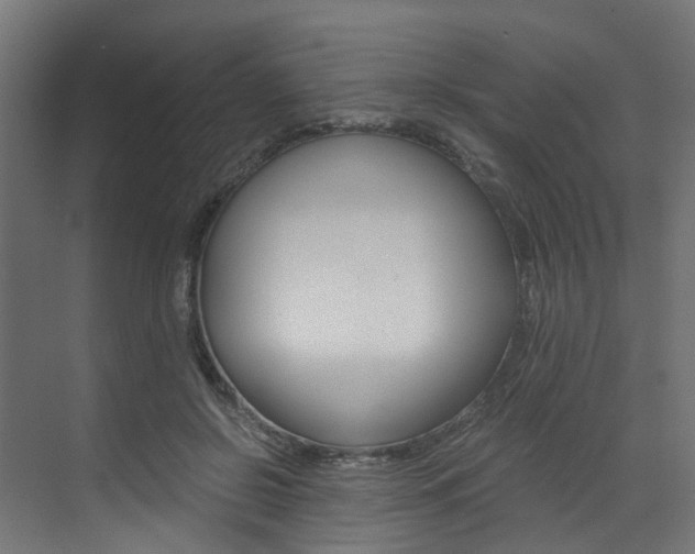 X0000073530550200607311018