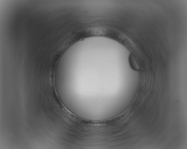 X0000073530553200607311018