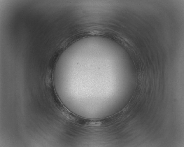 X0000073530554200607311018