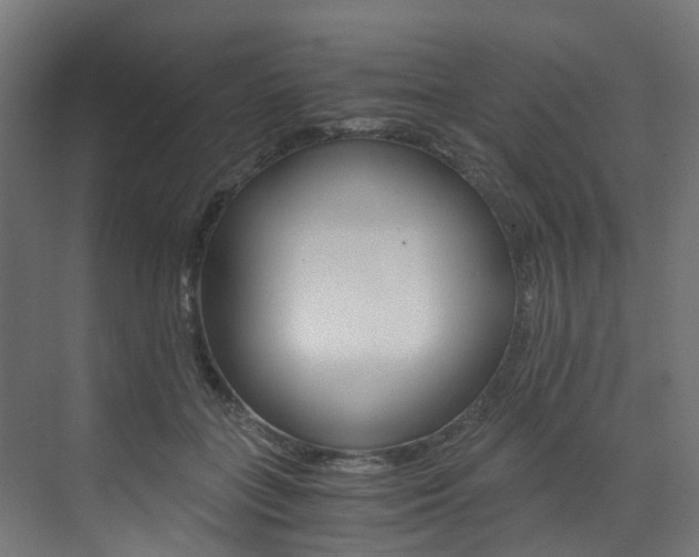 X0000073530555200607311018