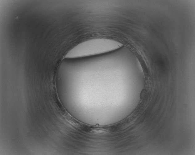 X0000073530557200607311018