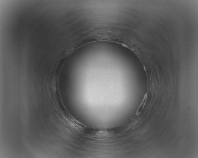 X0000073530562200607311018