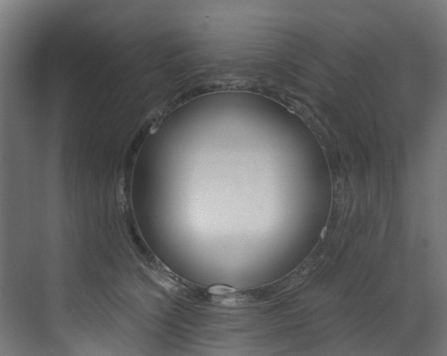 X0000073530564200607311018
