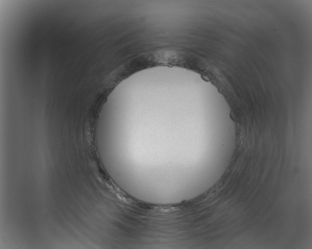 X0000073530569200607311018