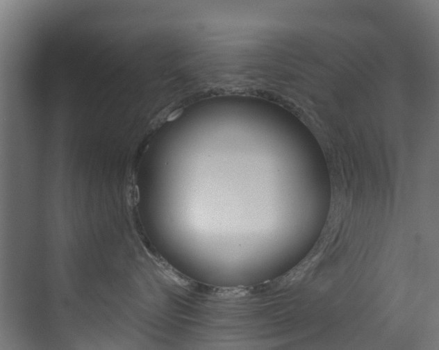 X0000073530576200607311018
