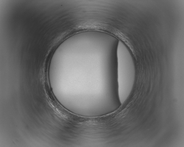 X0000073530578200607311018
