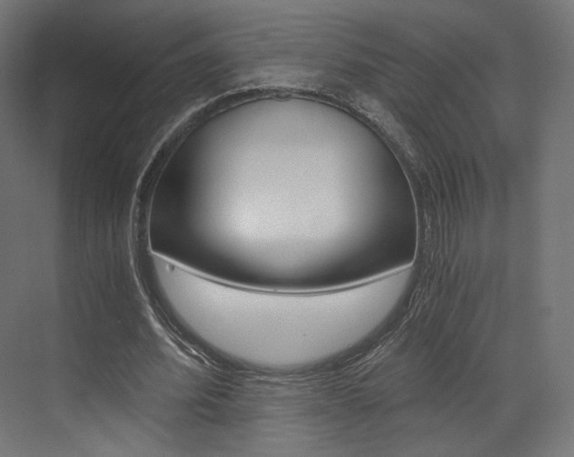 X0000073530580200607311018