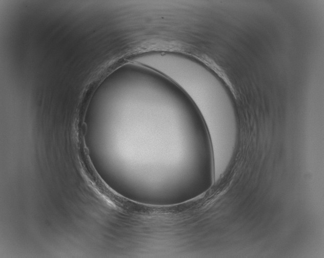 X0000073530581200607311018