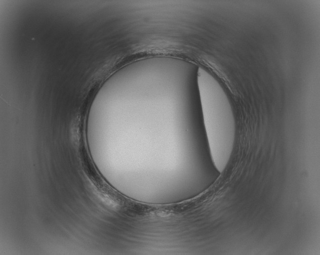 X0000073530586200607311017