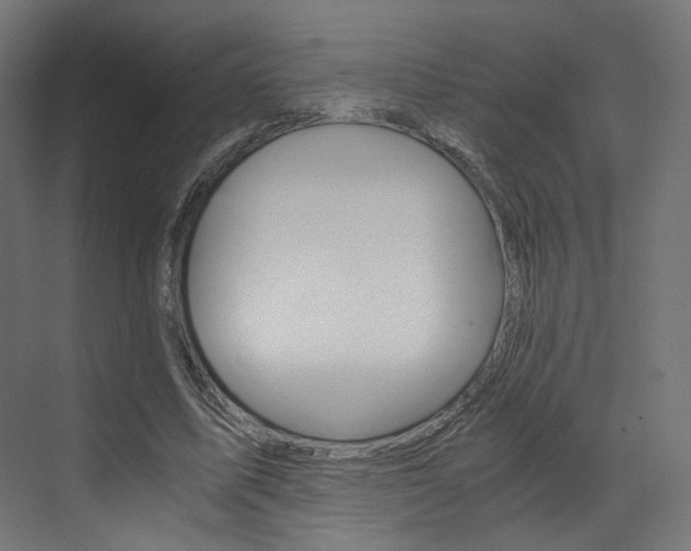 X0000073530587200607311017