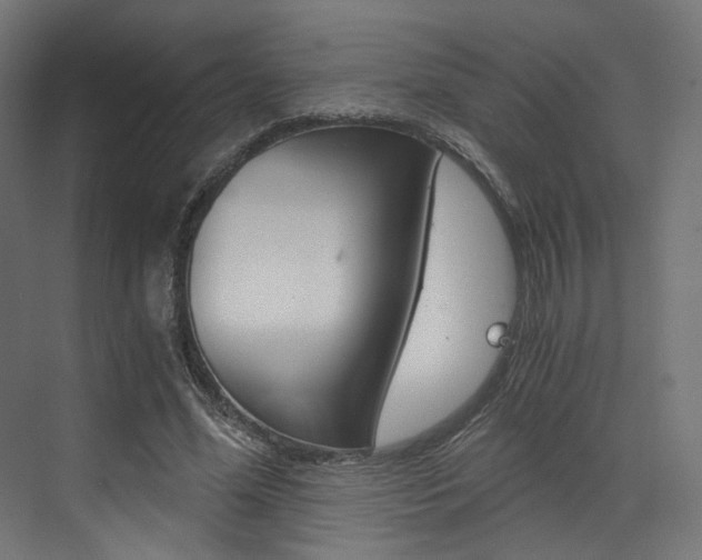 X0000073530588200607311017