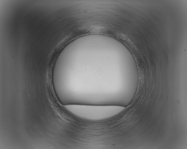 X0000073530591200607311017