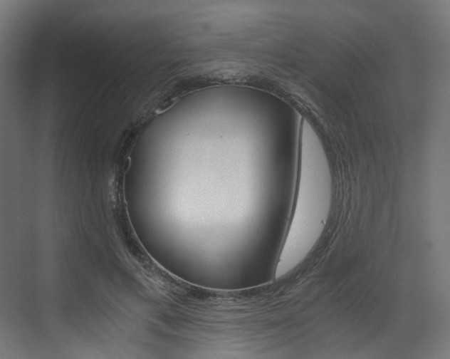 X0000073530597200607311017