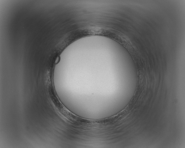 X0000073530598200607311017