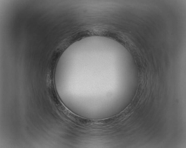 X0000073530599200607311017