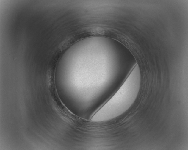 X0000073530600200607311017