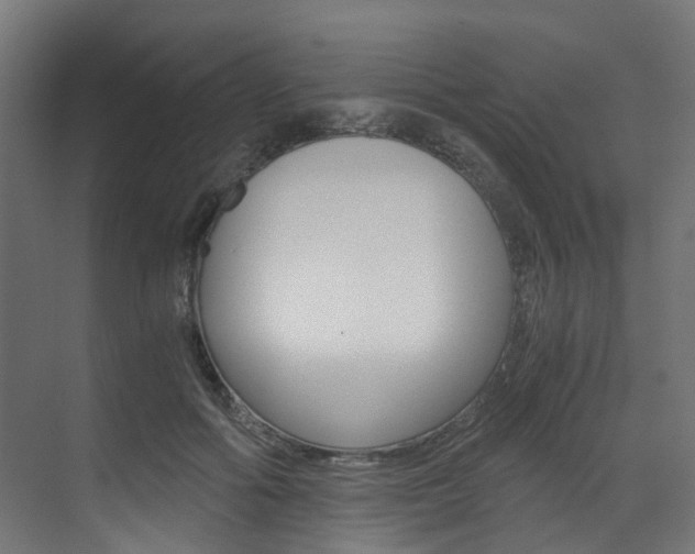 X0000073530602200607311017