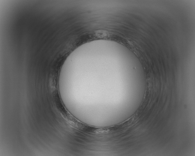 X0000073530606200607311017