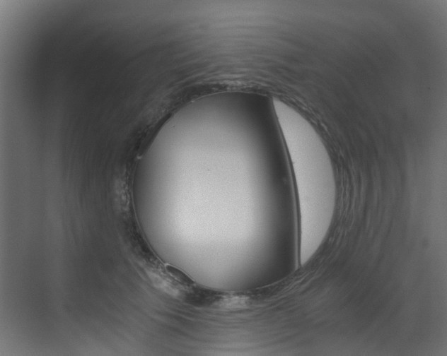 X0000073530609200607311017