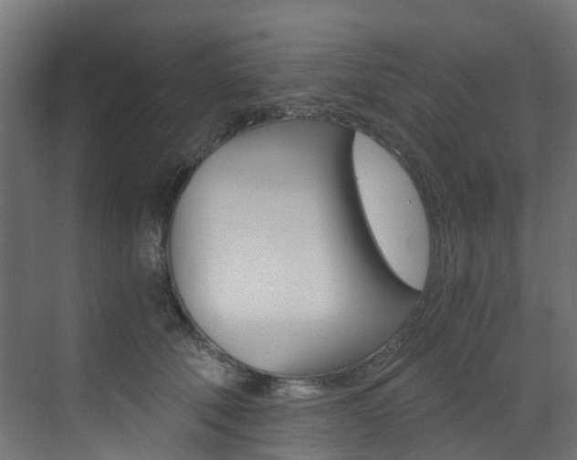 X0000073530610200607311017