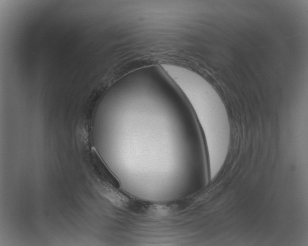 X0000073530613200607311017