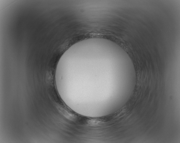 X0000073530614200607311017