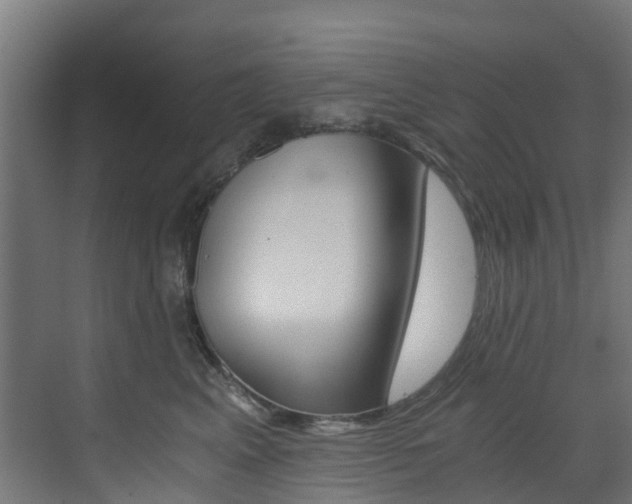 X0000073530617200607311017