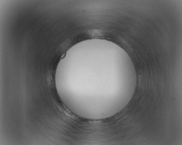 X0000073530618200607311017