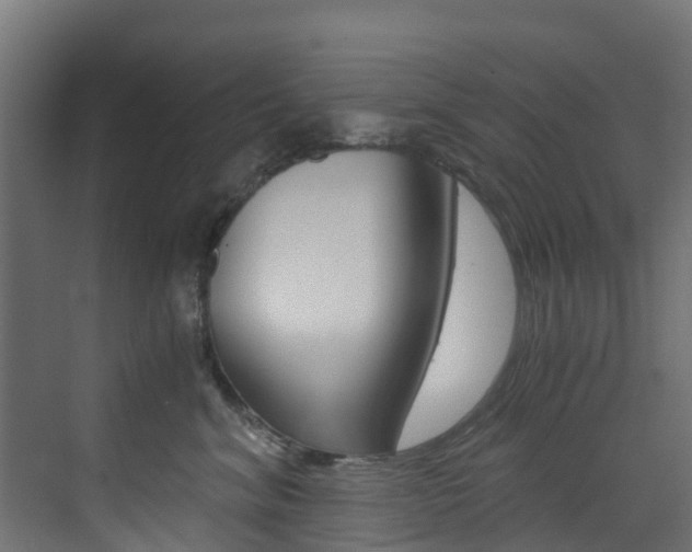 X0000073530620200607311017