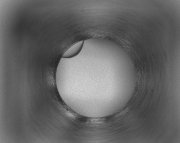 X0000073530622200607311017