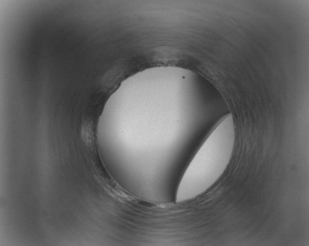 X0000073530623200607311017