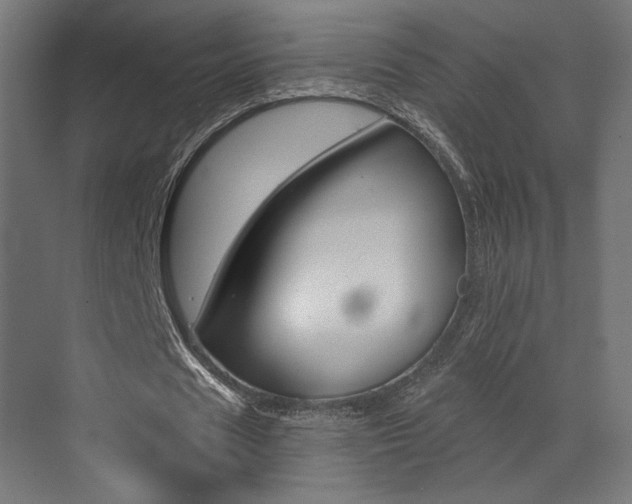 X0000073530625200607311016