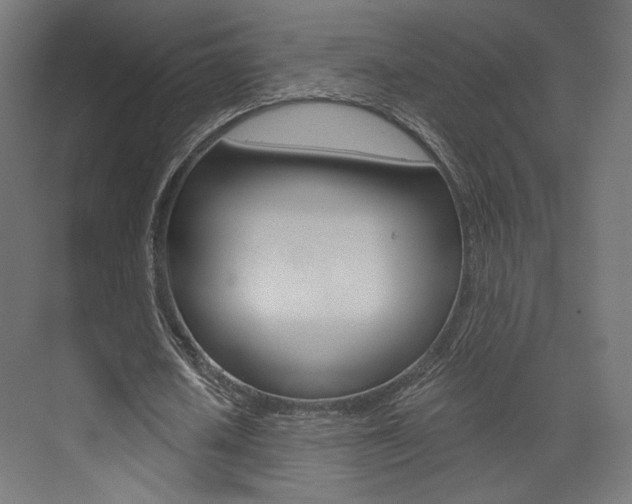 X0000073530626200607311016