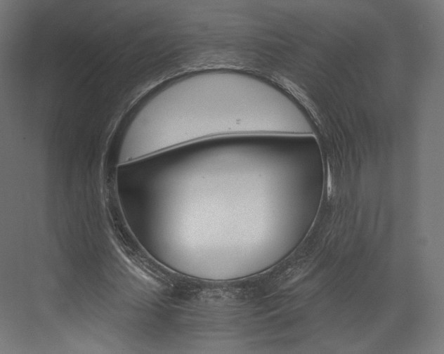 X0000073530627200607311016
