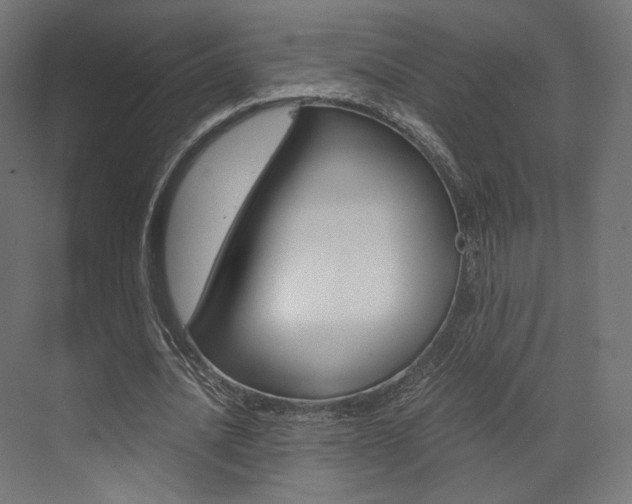 X0000073530628200607311016