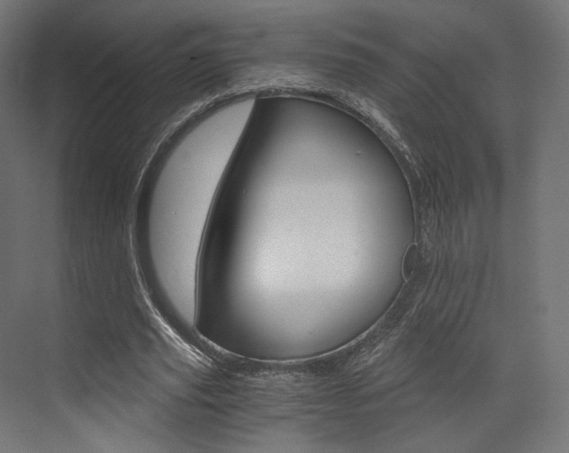 X0000073530629200607311016