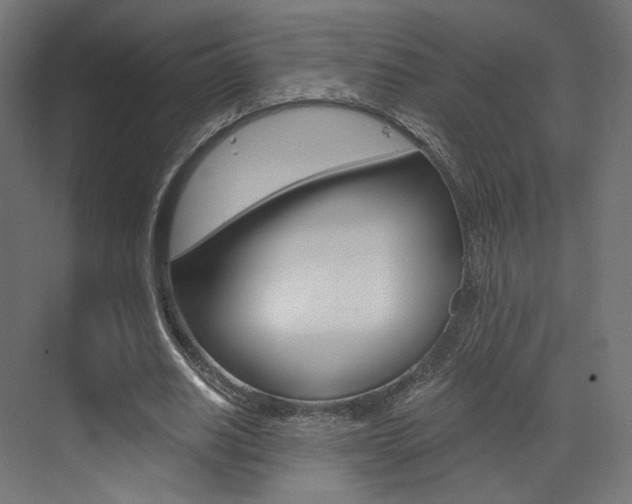 X0000073530630200607311016