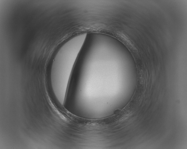 X0000073530634200607311016
