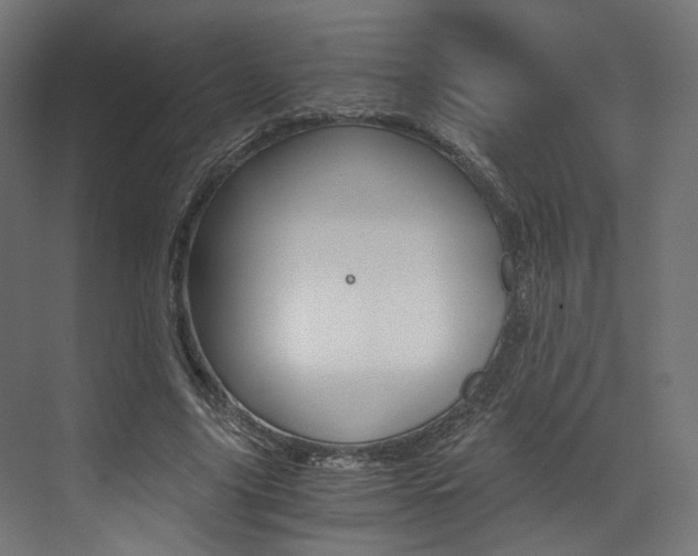 X0000073530635200607311016