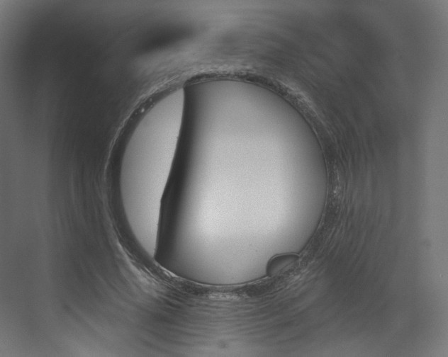 X0000073530636200607311016