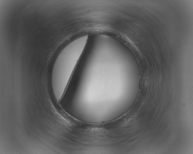 X0000073530637200607311016
