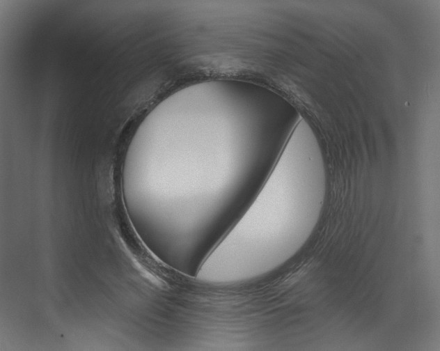 X0000073530638200607311016