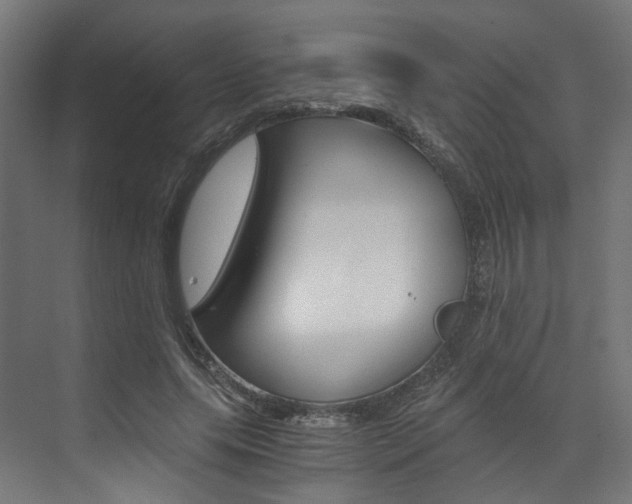 X0000073530639200607311016