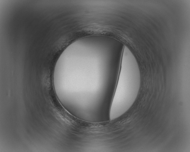 X0000073530642200607311016